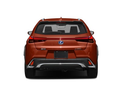 2020 Lexus UX 250h F SPORT